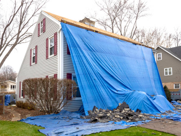 Affordable siding repair and maintenance services in Newport, MN