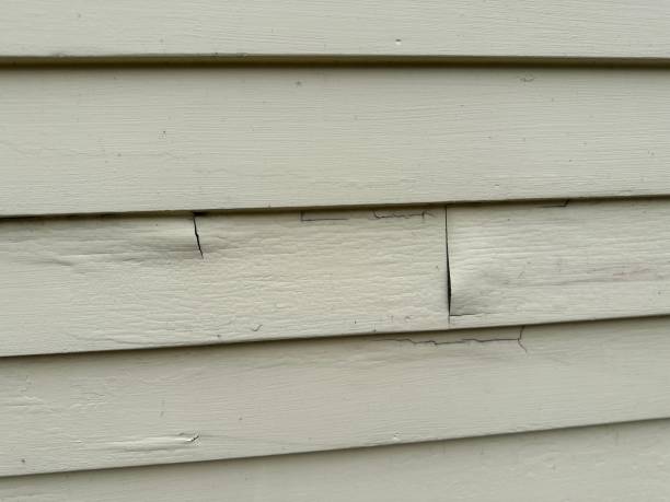 Best Steel Siding Installation  in Newport, MN