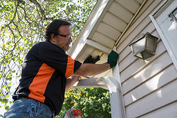 Best Insulated Siding Installation  in Newport, MN